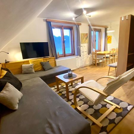 Apartman Ivko Letohrad Екстер'єр фото