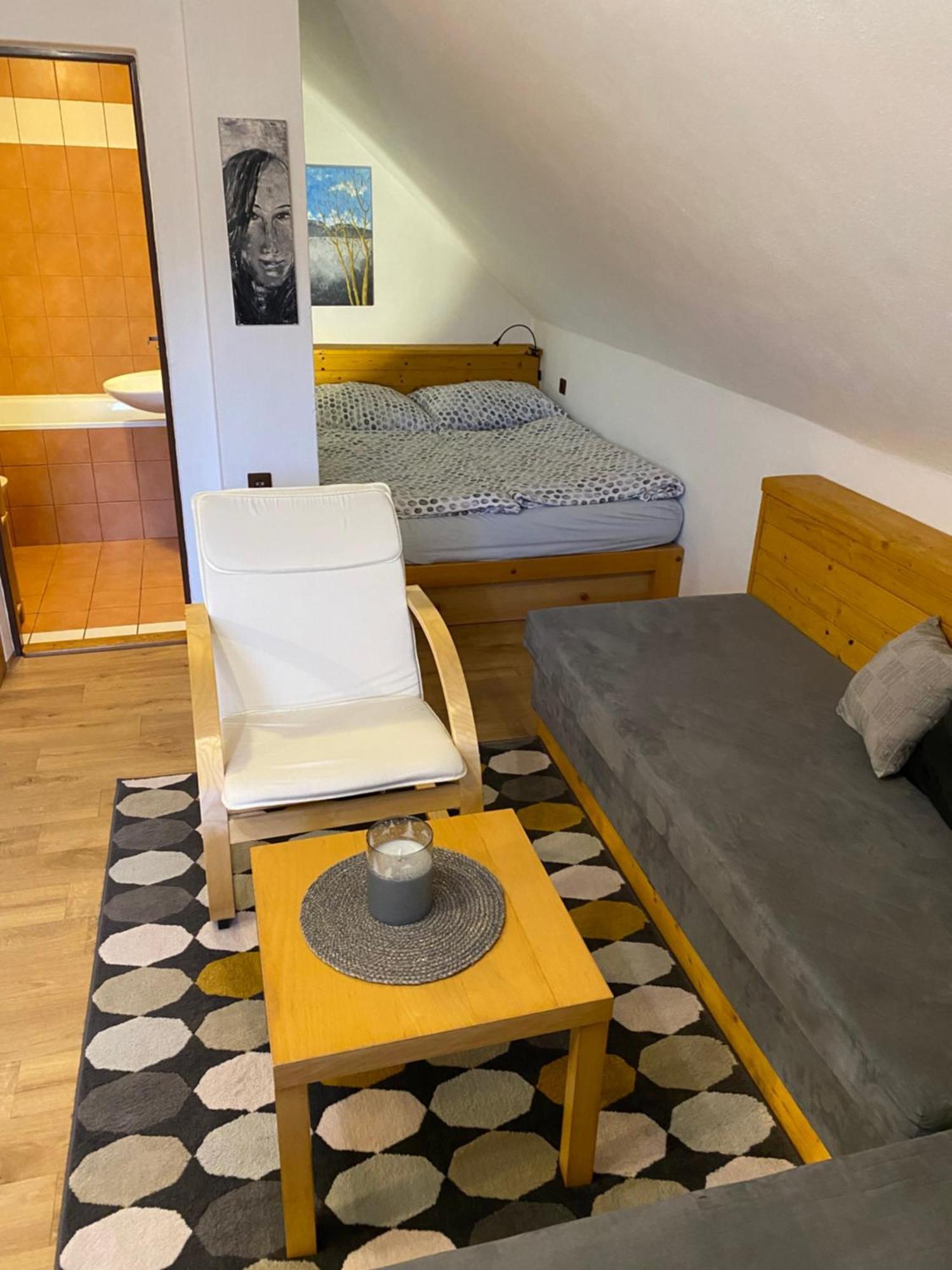 Apartman Ivko Letohrad Екстер'єр фото